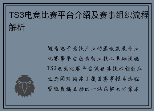 TS3电竞比赛平台介绍及赛事组织流程解析