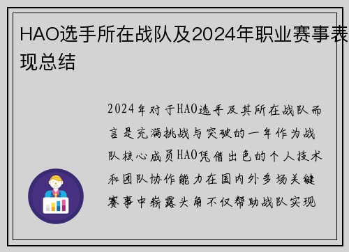 HAO选手所在战队及2024年职业赛事表现总结